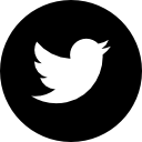 twitter-logo-button.png